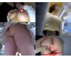 【隠しきれない胸の膨らみ】☆強調リブニットで歩行中の着衣エロお姉さん!