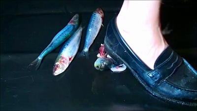 D-285.34歳ピアニスト⑦