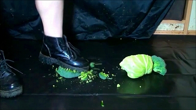 D-293.タレント