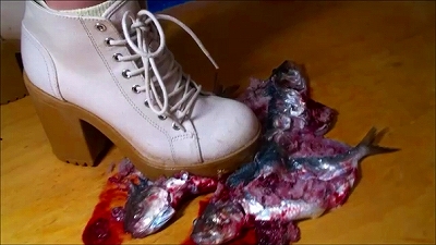 D-142.21歳アーティスト