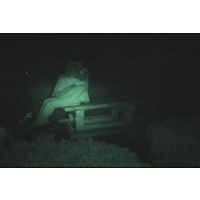 リボルバーさんの投稿「深夜のお散歩その4」