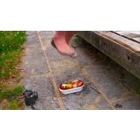 D-201.フリーモデル