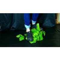 D-288.21歳大学生