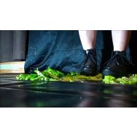 D-283.29歳会社員