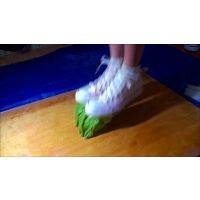 D-159.アイドル②