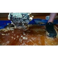 D-212.23歳ファッションモデル