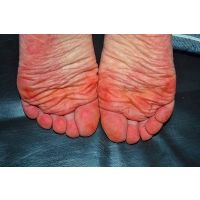 424.現 役アナウンサー④