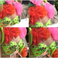 短時間限定販売！素晴らしいサンバなのでぜひご覧ください！！t1-43【高画質動画】