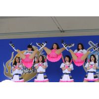 【厳選・２０４枚！】チアガールD①～④【セット販売】