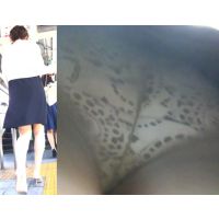 パンチラ OLさん 神風が吹いて風チラ 白の柄パンツがモロ見え