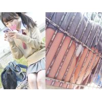 ［制服パンチラ］放課後J〇をベンチ逆さ撮り！眩しすぎるむちむちフトモモと純白Pを極限接写！［高画質］