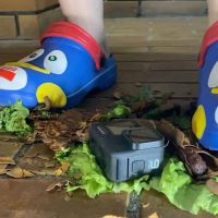 【世界初】ぴえん×スイートタマリンドの化学反応を君たちはまだ知らない。